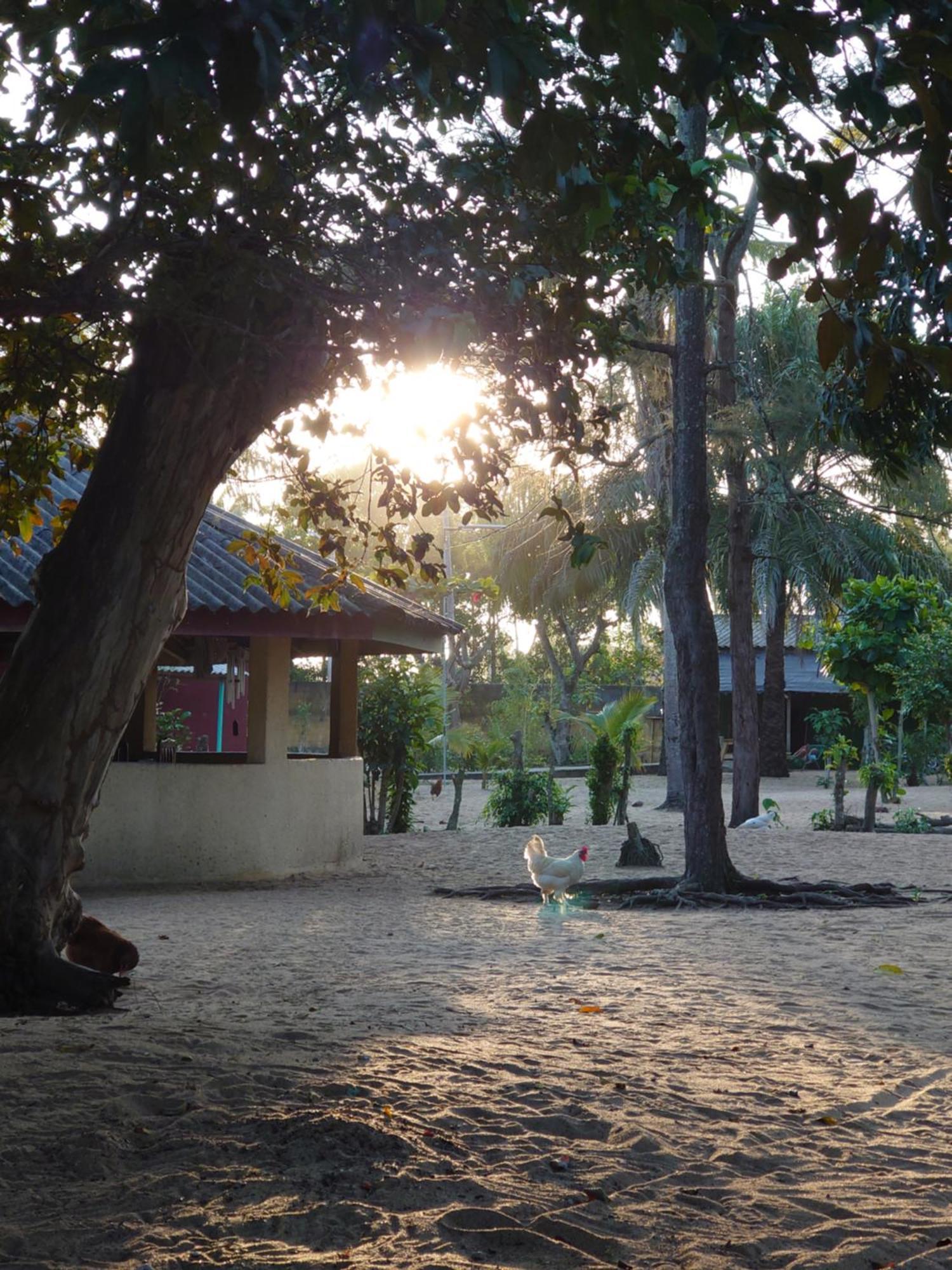 Rundbungalow Auf Lionsrest Grand-Bassam Zewnętrze zdjęcie